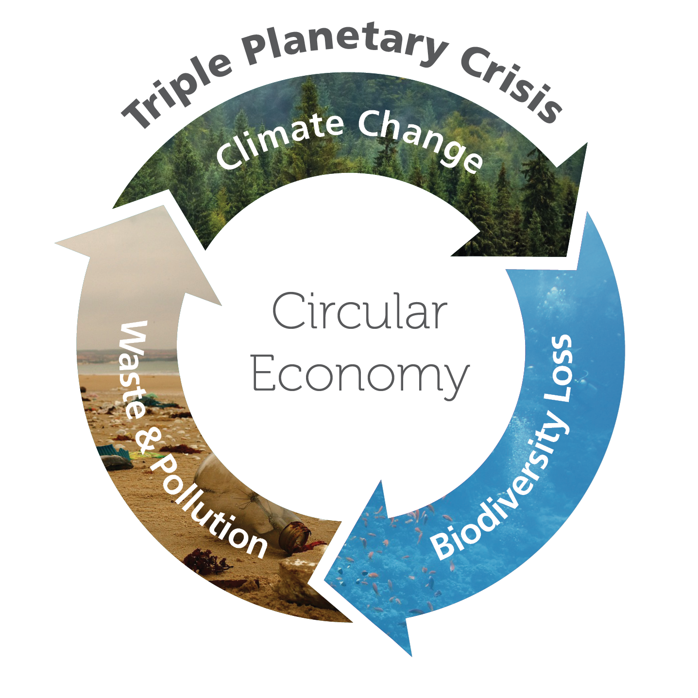 20230914-Infographic-CircularEconomy.png