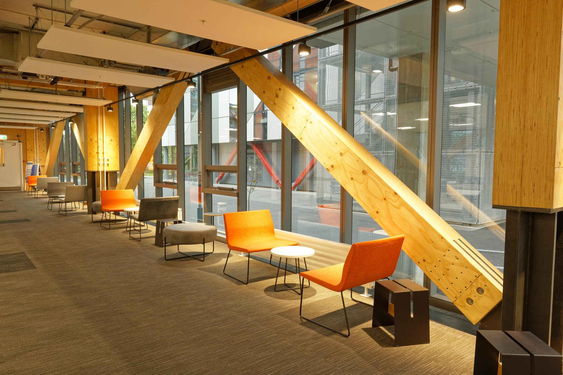 Building NZ's tallest all timber moment-framed structure