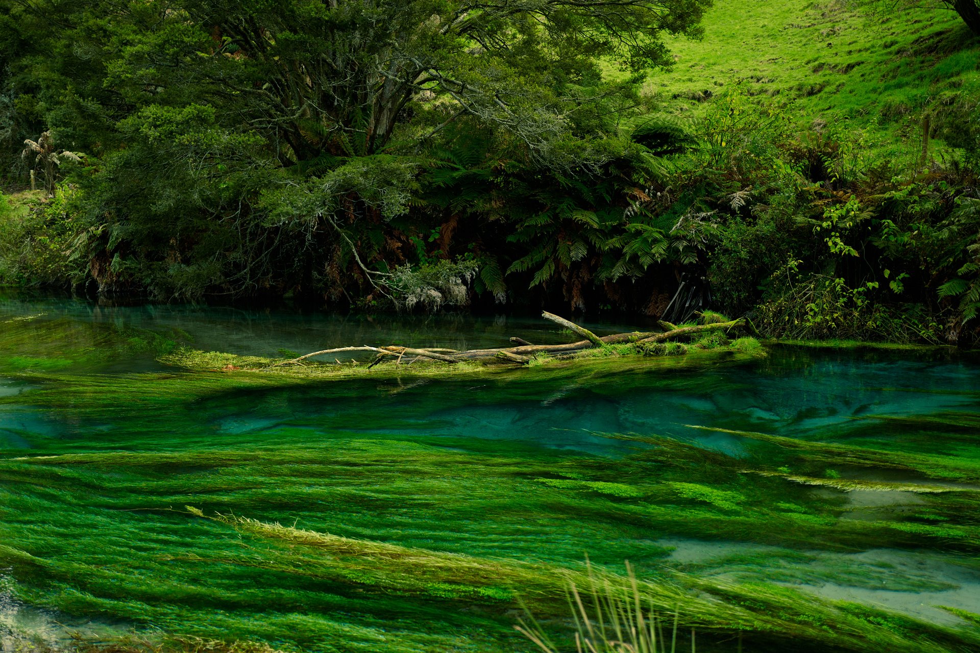 The challenge before us: New regulations and stormwater design