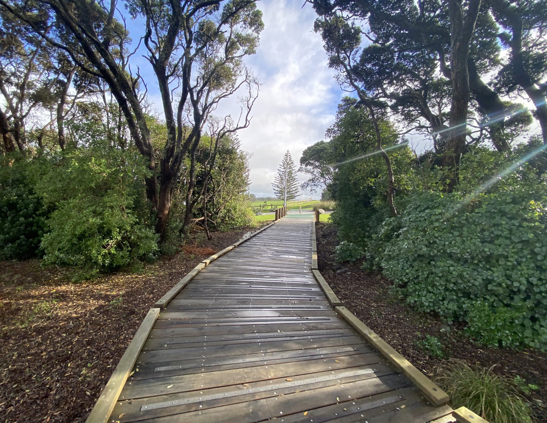 New Plymouth walkway extension