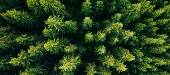 Advanced wood pellets study