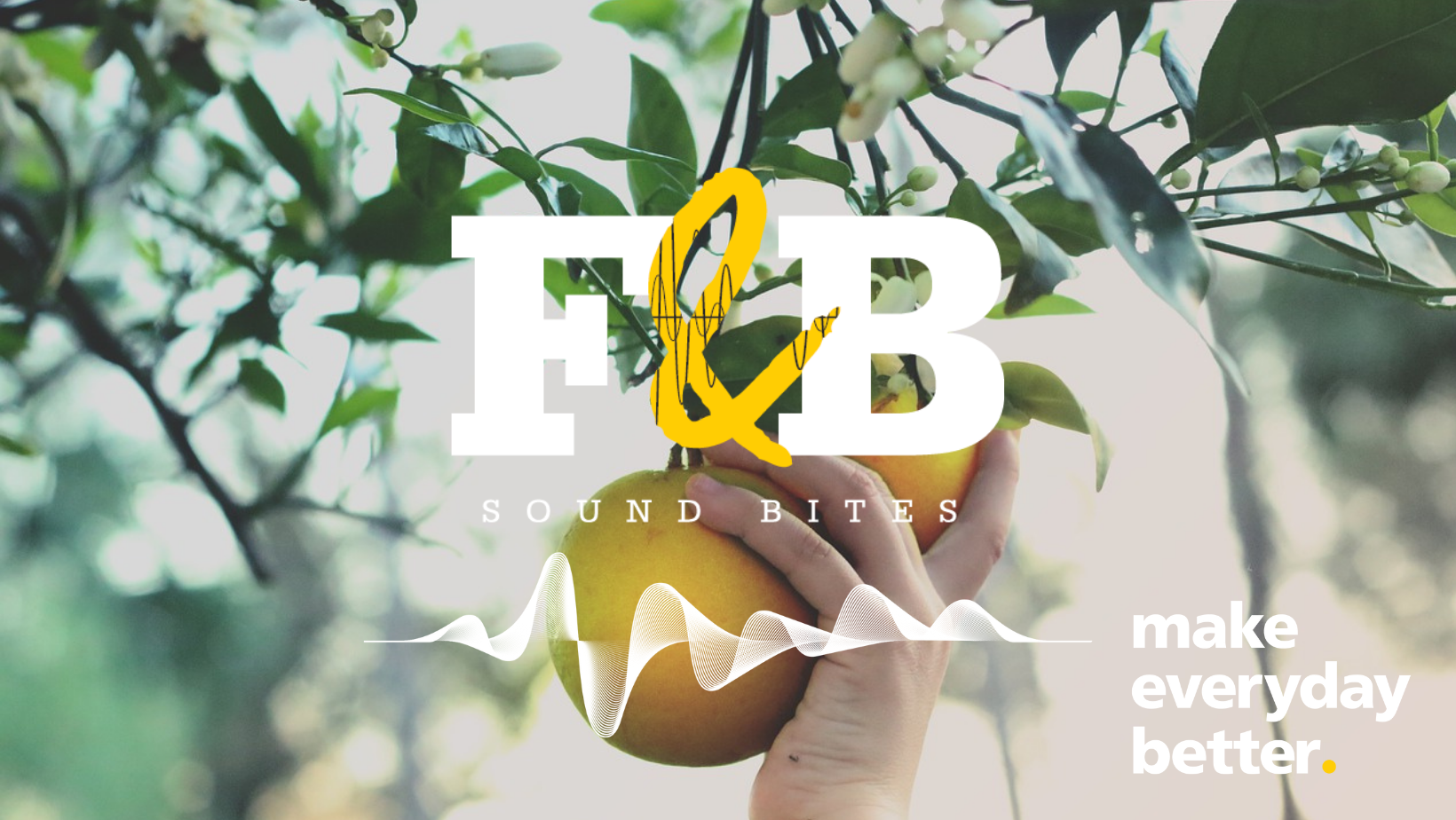 F&B Sound Bites: Episode 20 -Switching the light to green