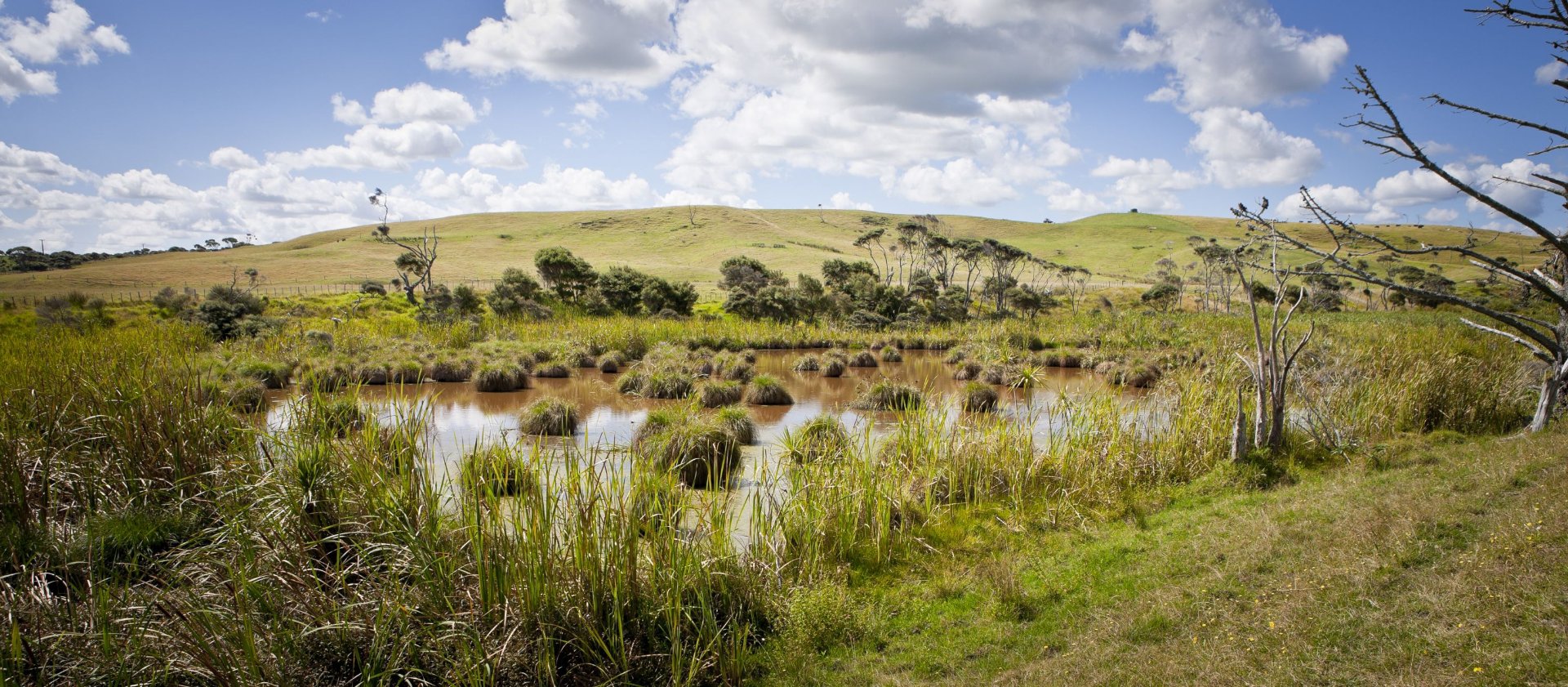 The Infrastructure Plan We’re Missing: Putting Nature on the Balance Sheet