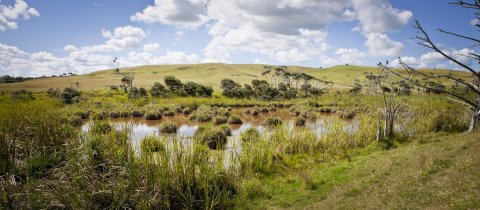 The Infrastructure Plan We’re Missing: Putting Nature on the Balance Sheet