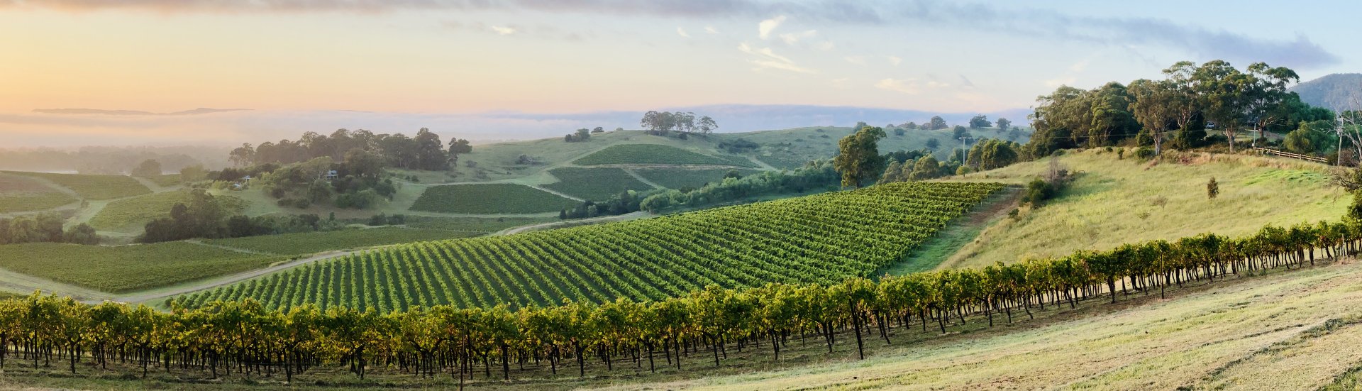 Delivering the infrastructure for NSW’s renewable energy future