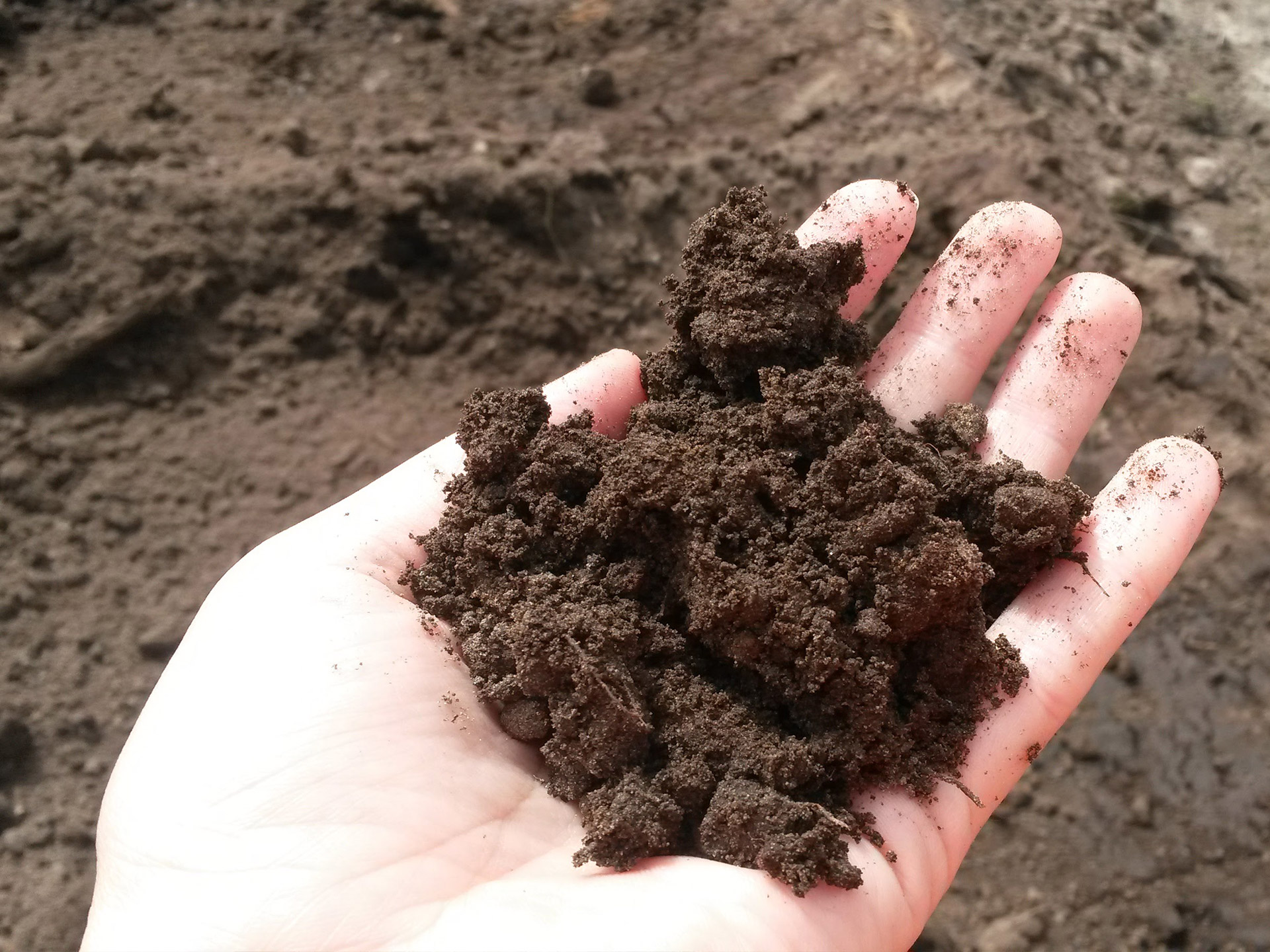 Natural Resource Management