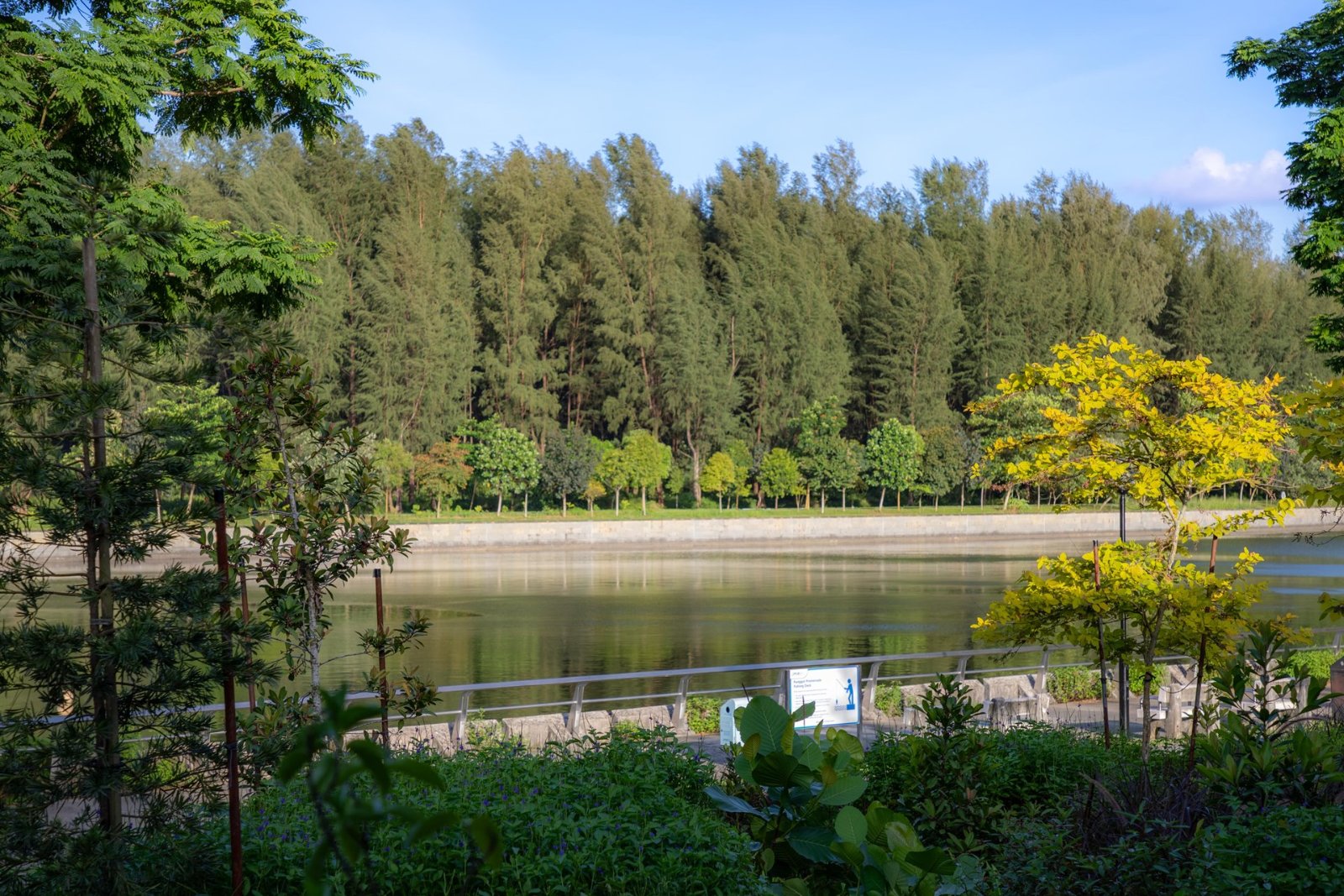 Punggol Digital District - Carousel 5