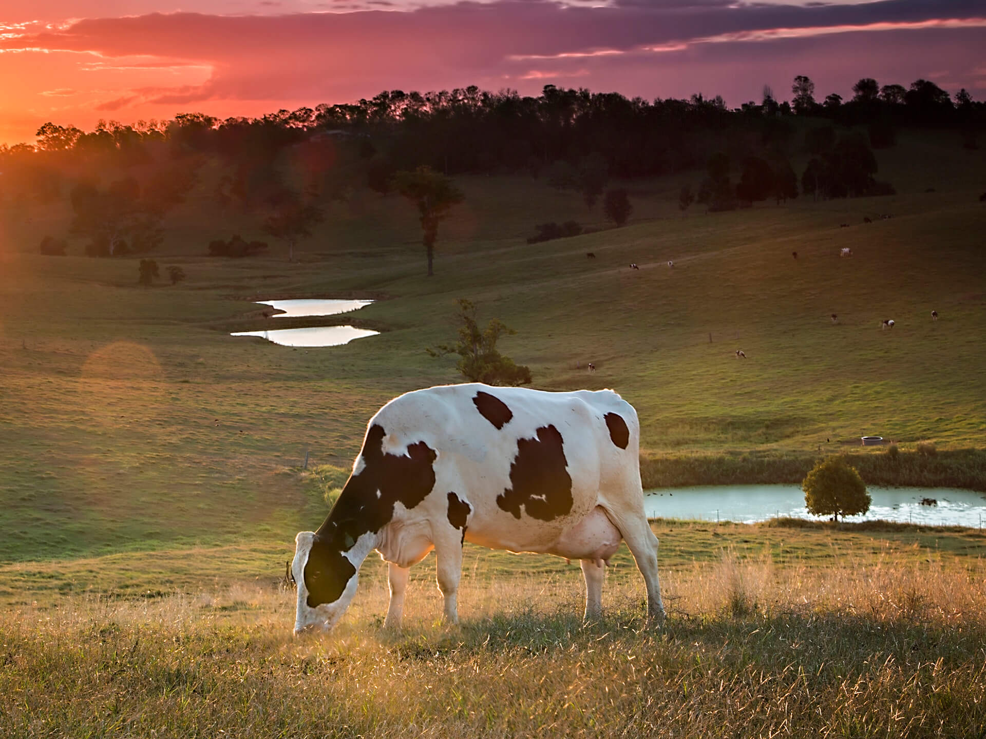 A proud Food and Beverage history