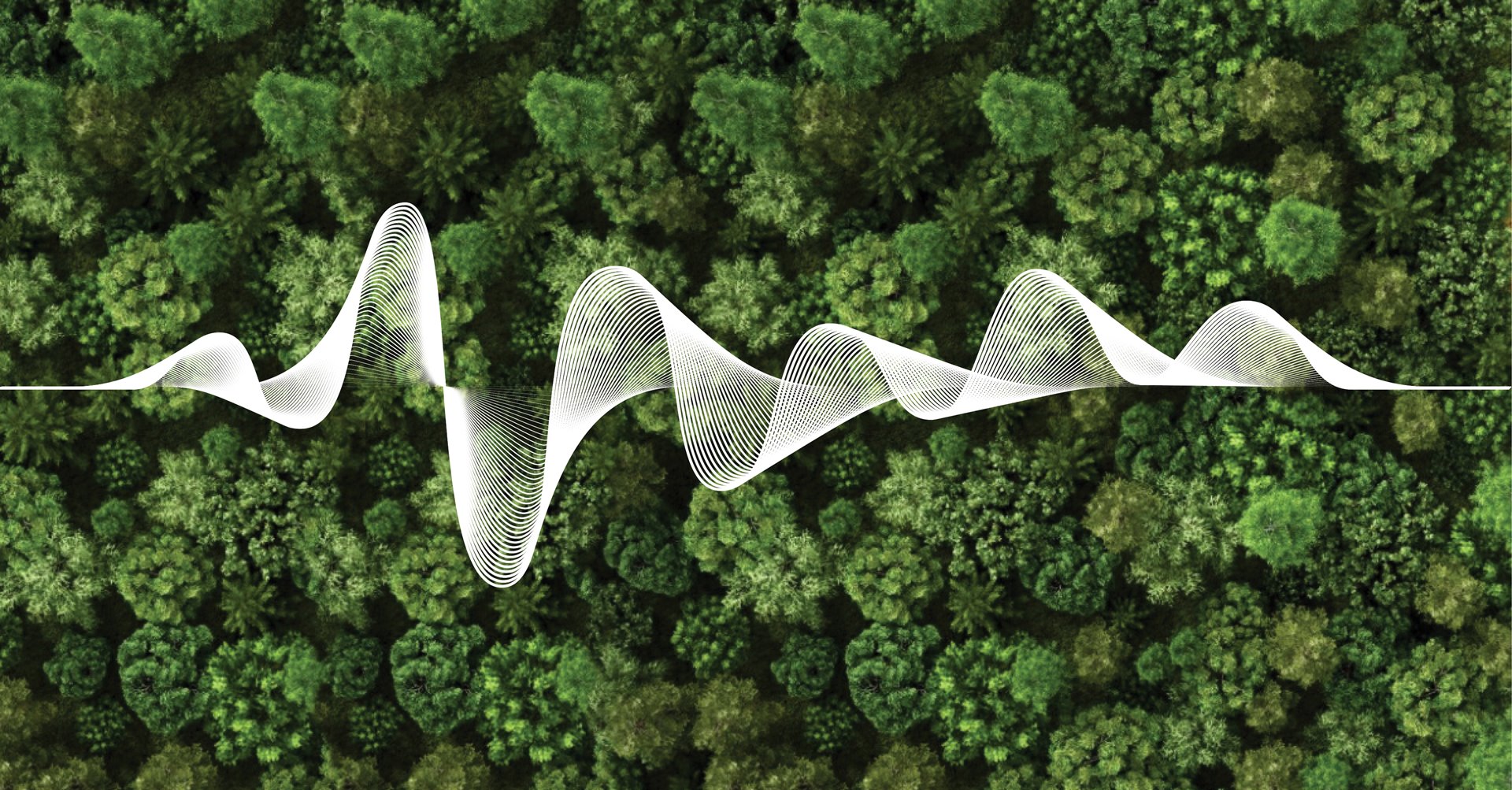 Getting to carbon positive