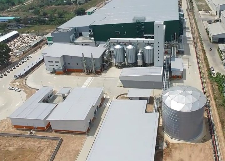 Green Spot Soy Milk Plant Beca