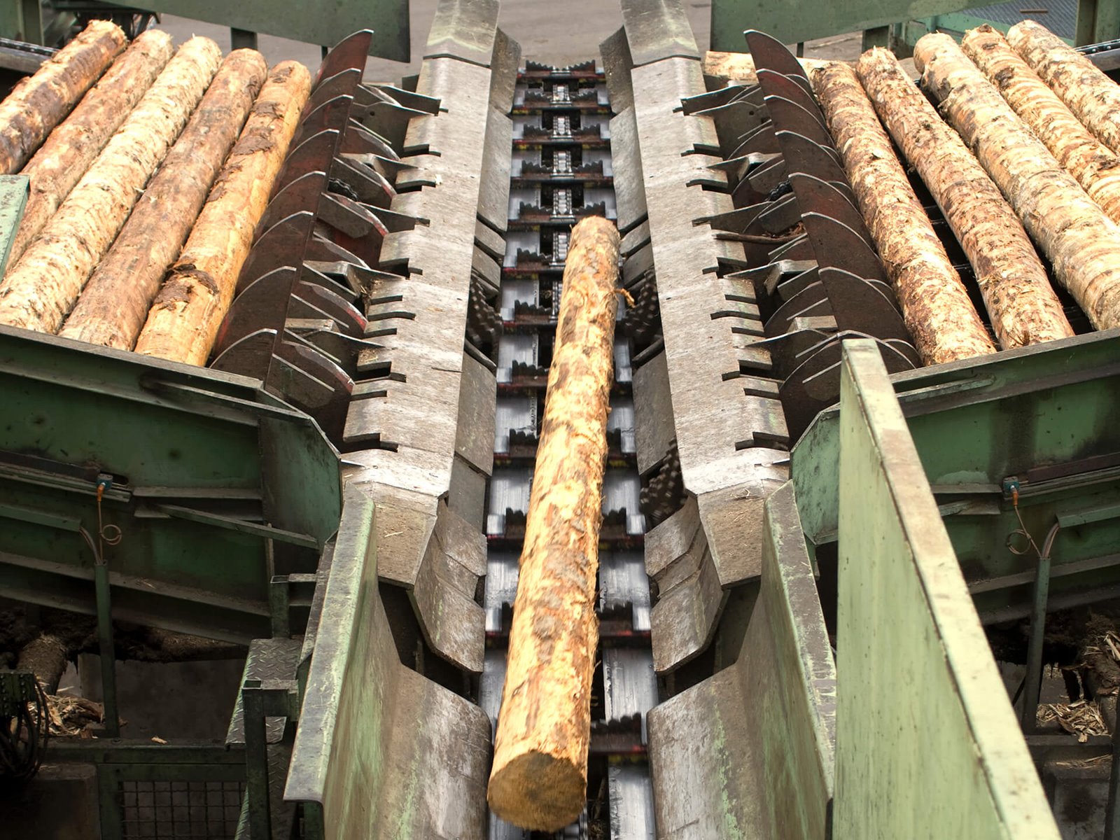 Dongwha Sawmill Bombala