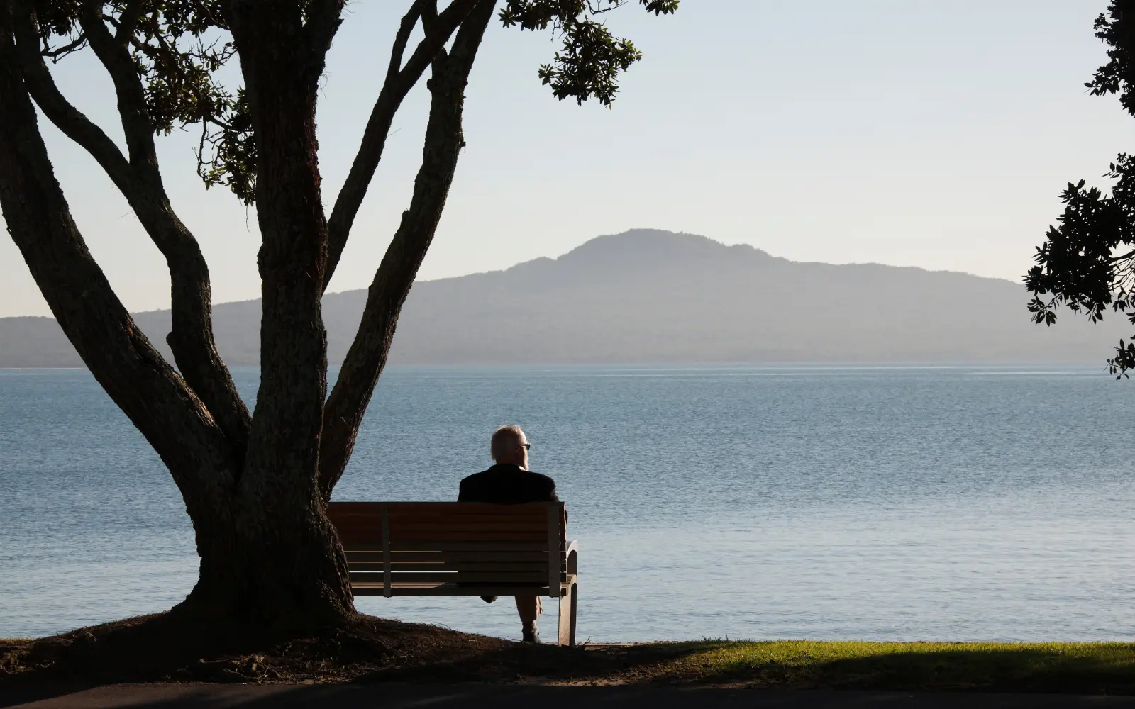 Knowledge Management for Auckland Council 