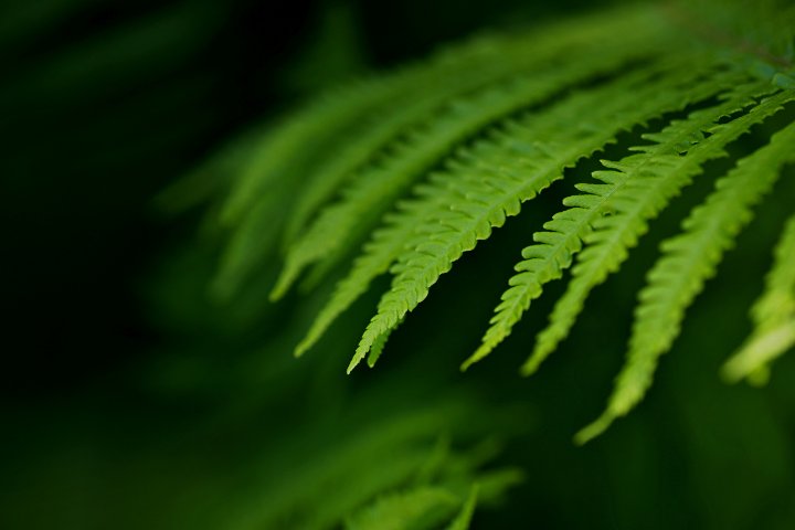 Climate-related Disclosures Report