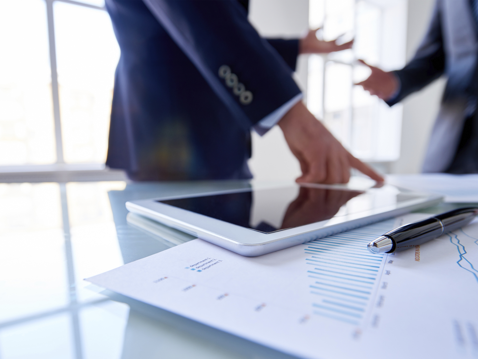 Government Advisory Services