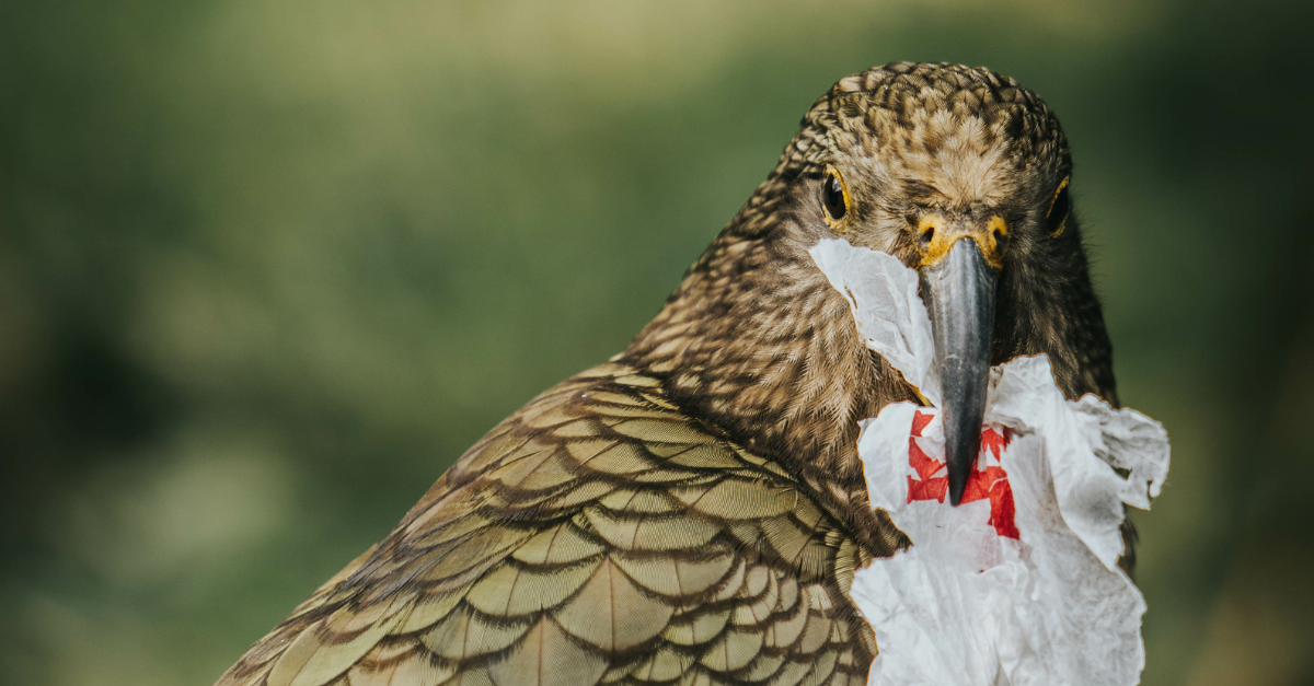 Beyond waste minimisation: Planning to catalyse a circular economy