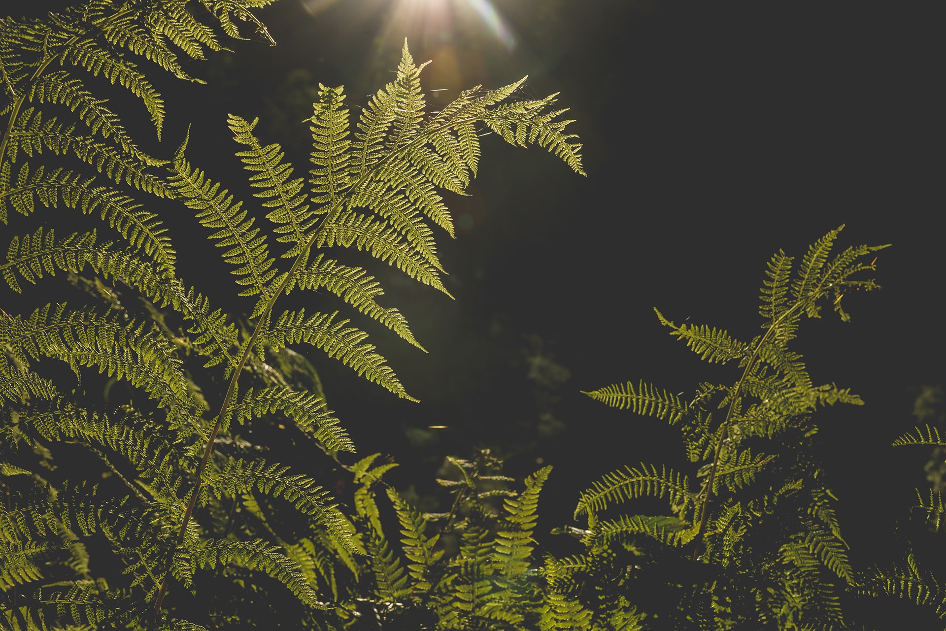 Scope 3 Emissions: The leadership opportunity you can’t ignore