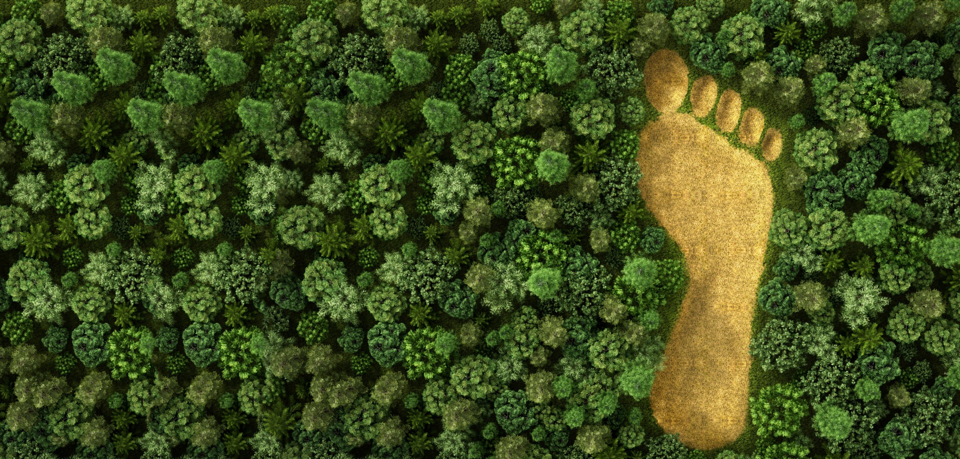 Decarbonising for a prosperous New Zealand