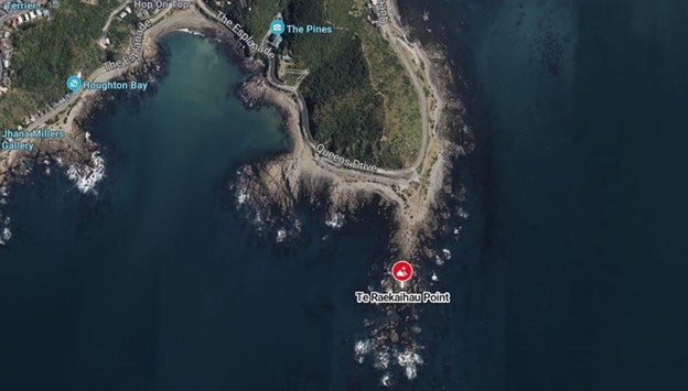 Watch a short video here