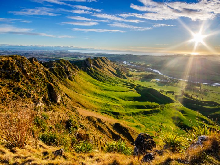 Contact Us Hawke's Bay Beca