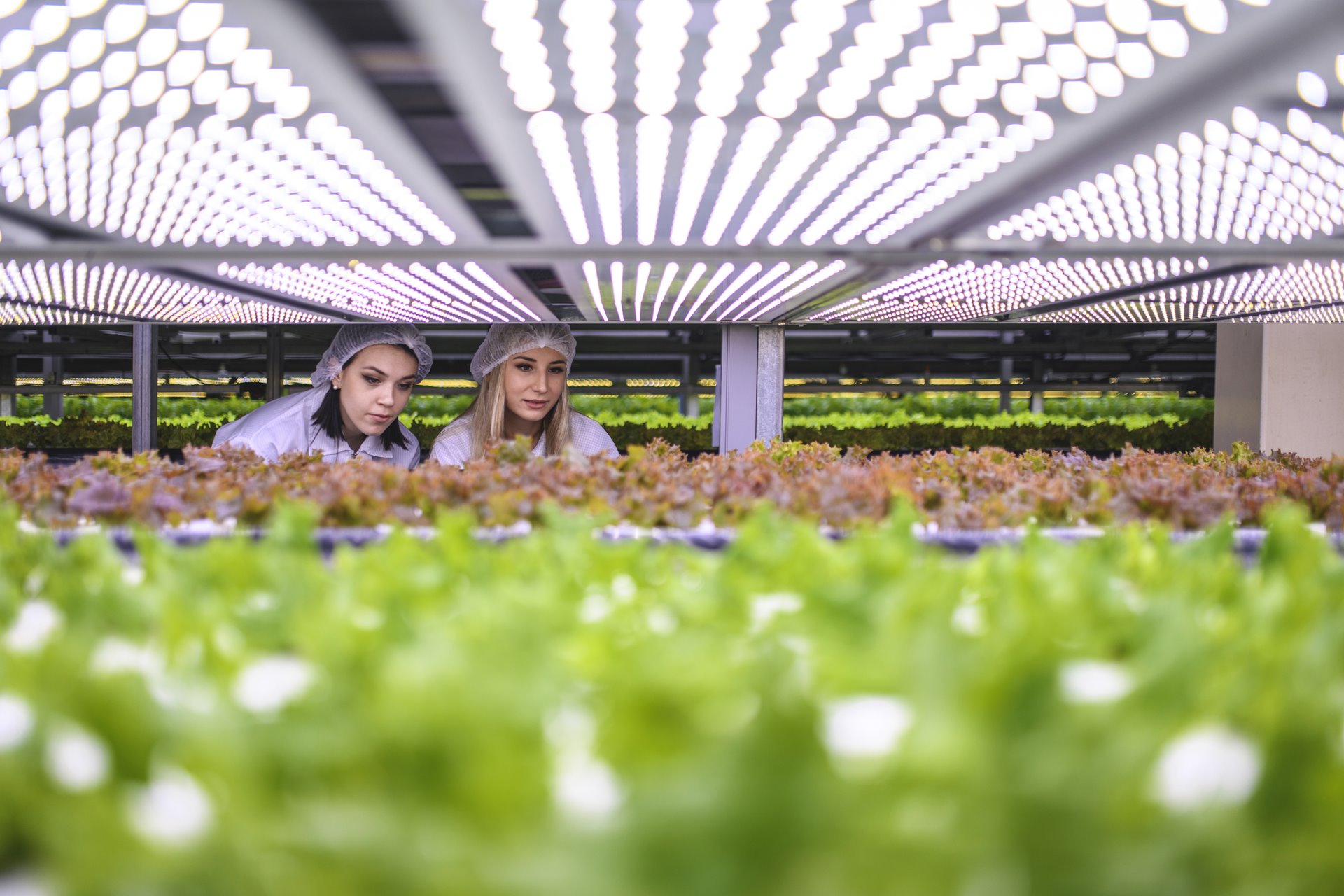 F&B Sound Bites: Episode 7 - Is indoor farming possible at a commercial scale?