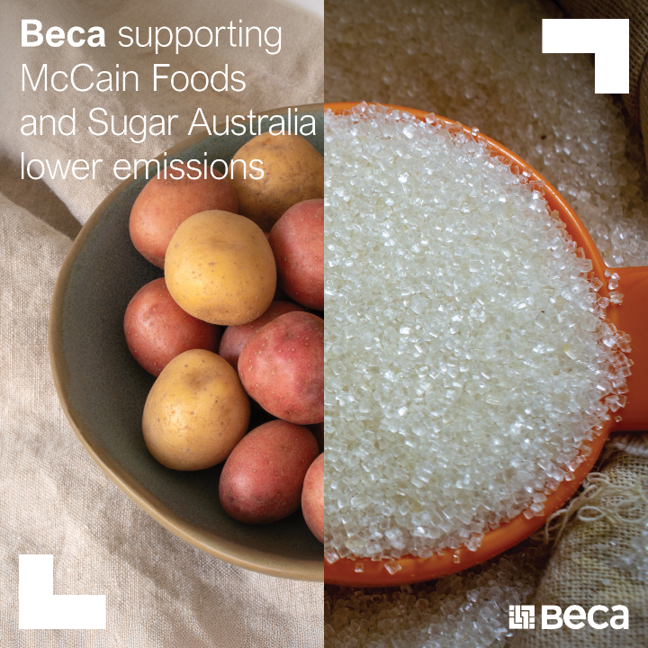 Beca supporting McCain Foods and Sugar Australia to lower emissions