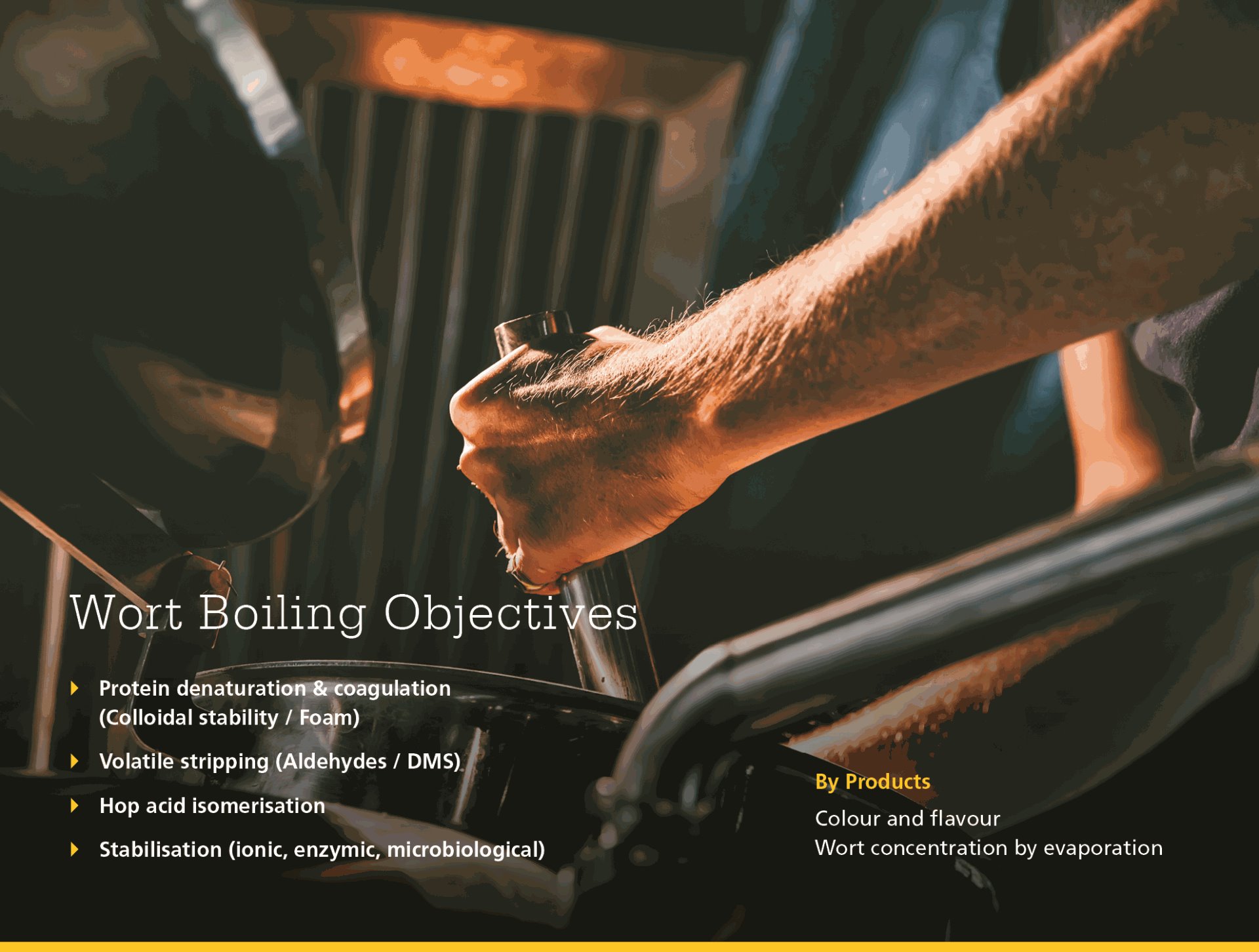 Wort boiling objectives graphic