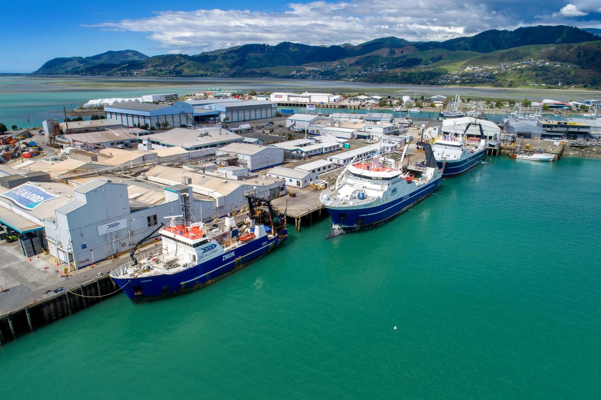 Green fish – the good kind!