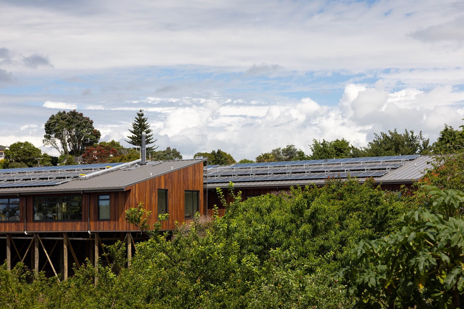5 - Taranaki Hospital 