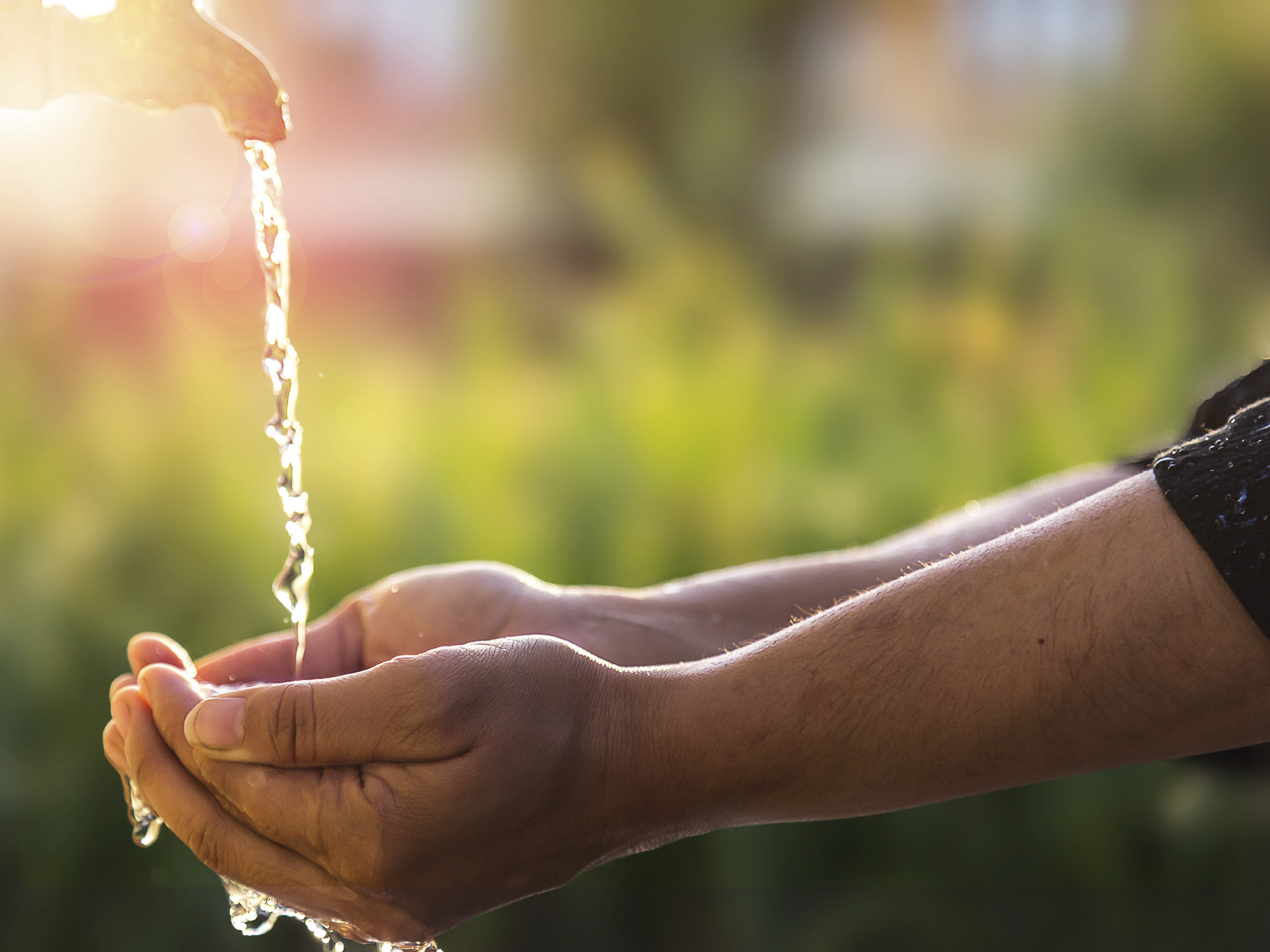 Water Management Services 