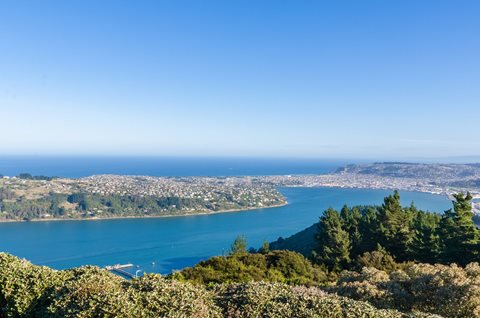 Dunedin