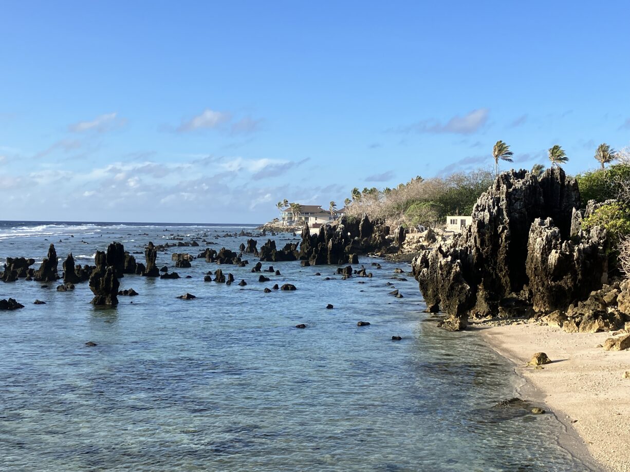 Naoero Sustainable and Resilient Urban Development Project