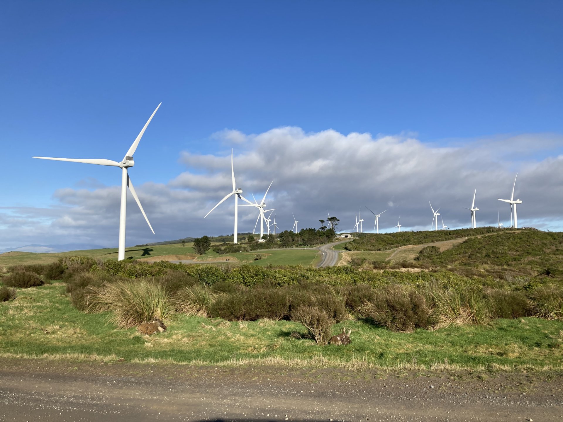 Transforming New Zealand’s wind energy future