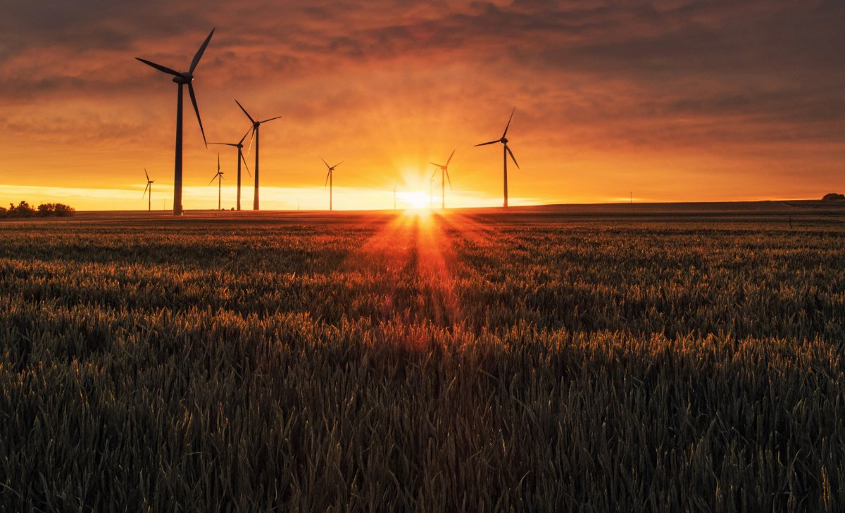 Real solutions image