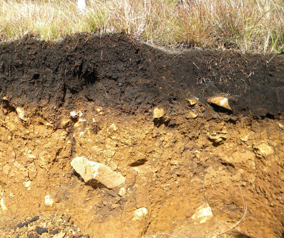 330kV transmission underground route