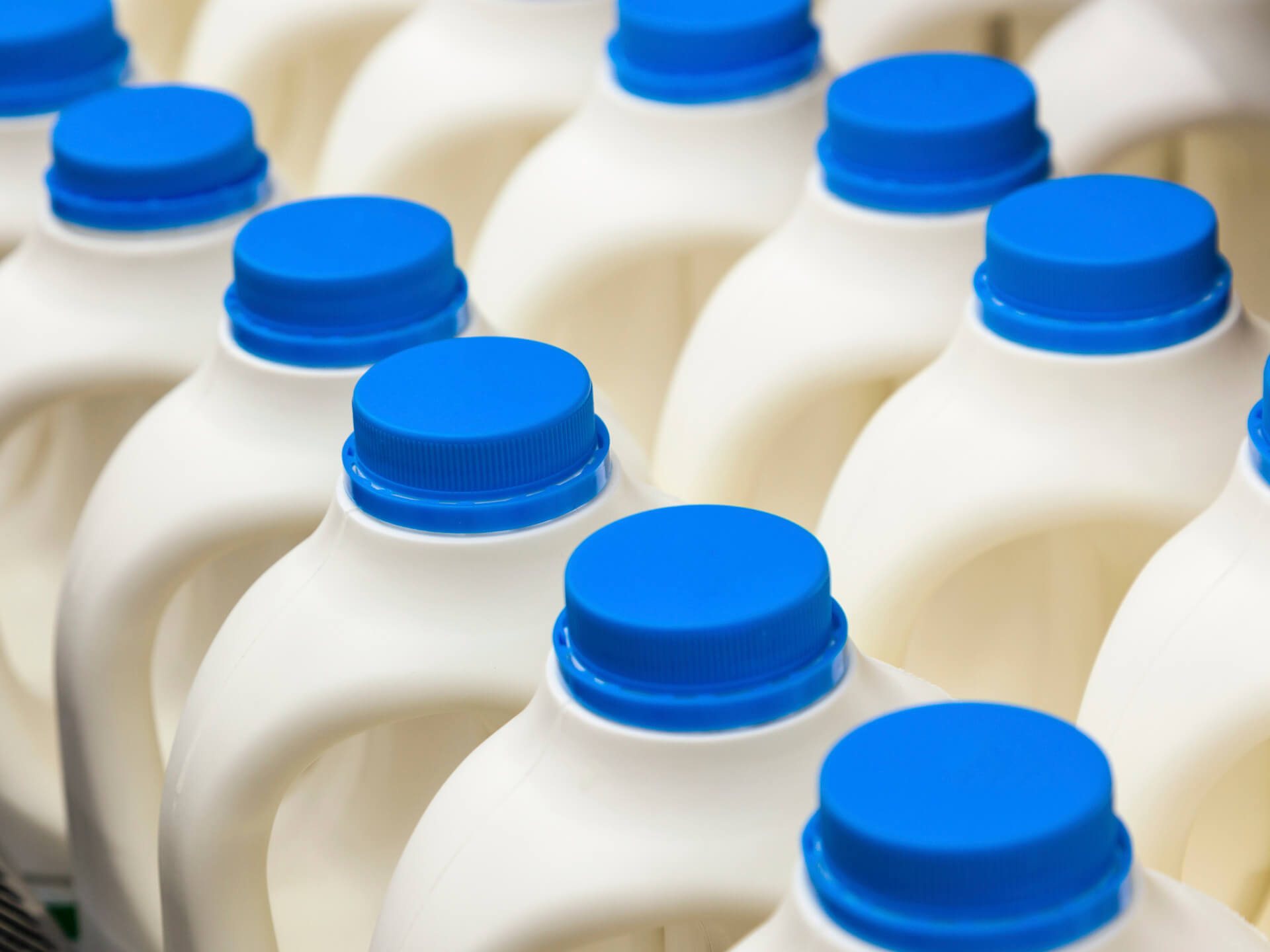 Dairy Consulting Solutions 