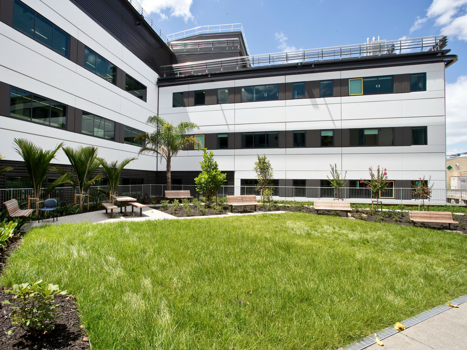 Providing great healthcare facilities for Auckland’s future