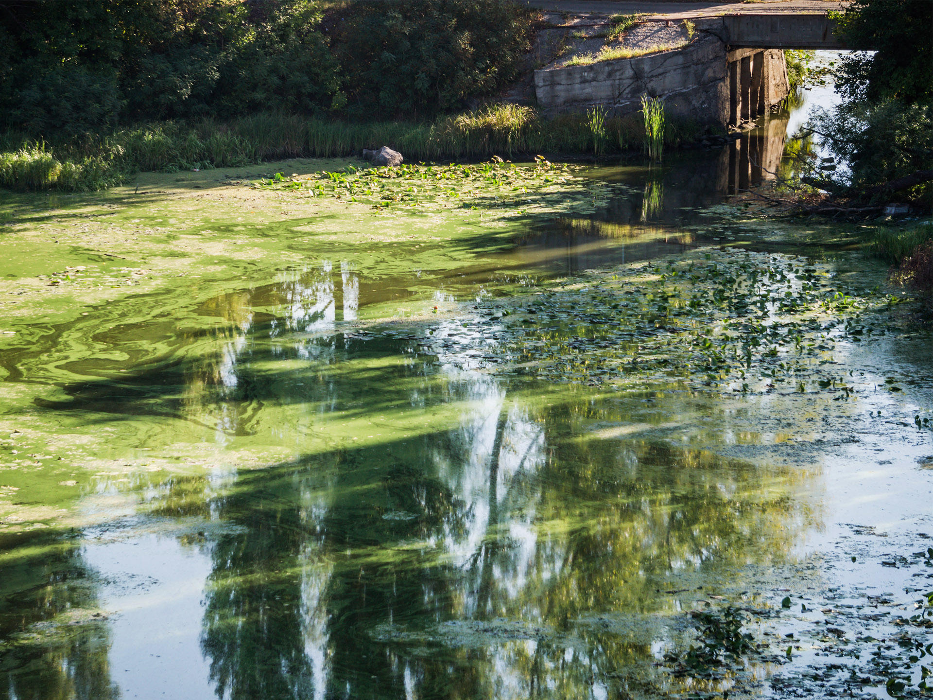 Environmental Impact Assessment