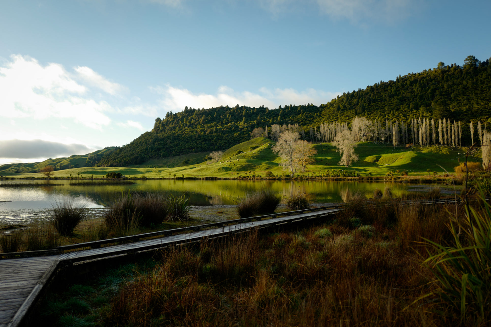 Environmental Management Services