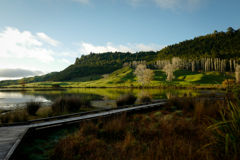 Environmental Management Services