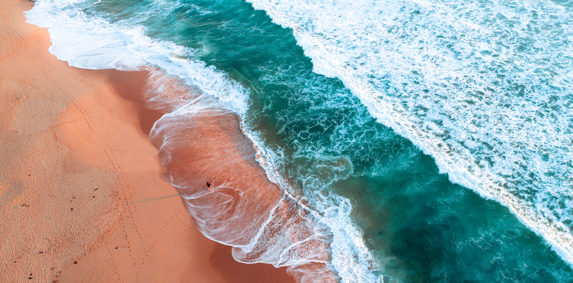 Our leadership team governs and channels the diverse skills and experience of our 3,000+ people, so we can make everyday better for our clients and their communities.