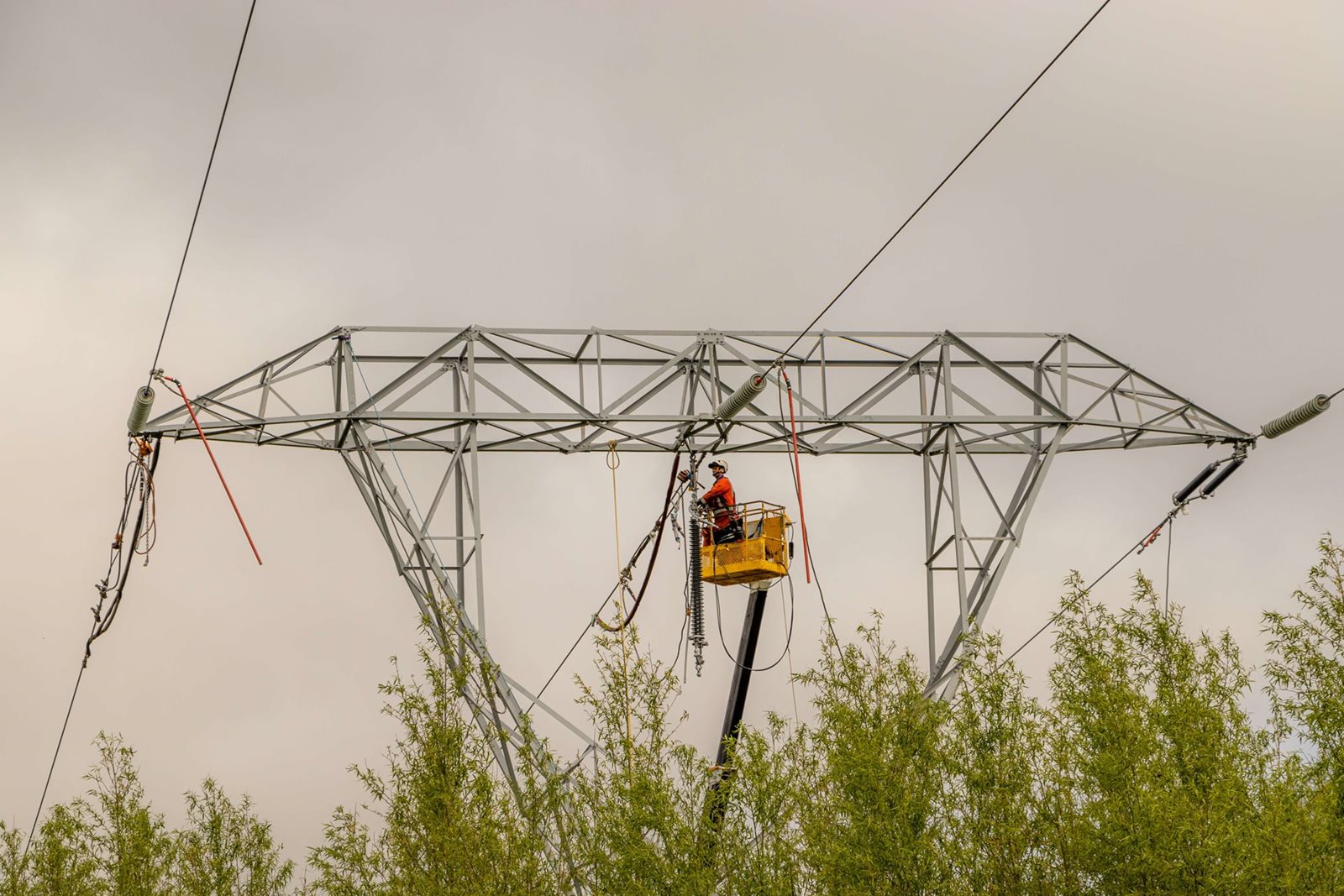 Bunnythorpe-Haywards Transmission Line Reconductoring