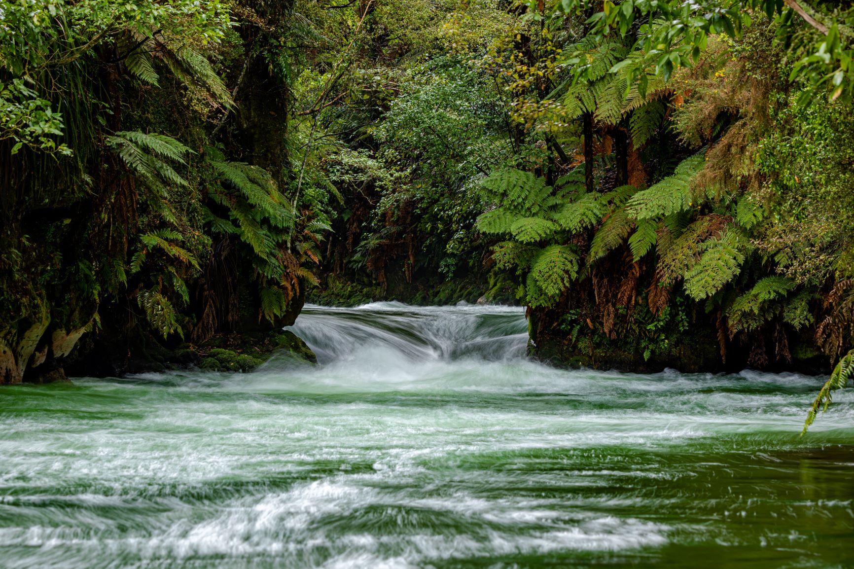 Let’s not waste our wastewater, or our water!