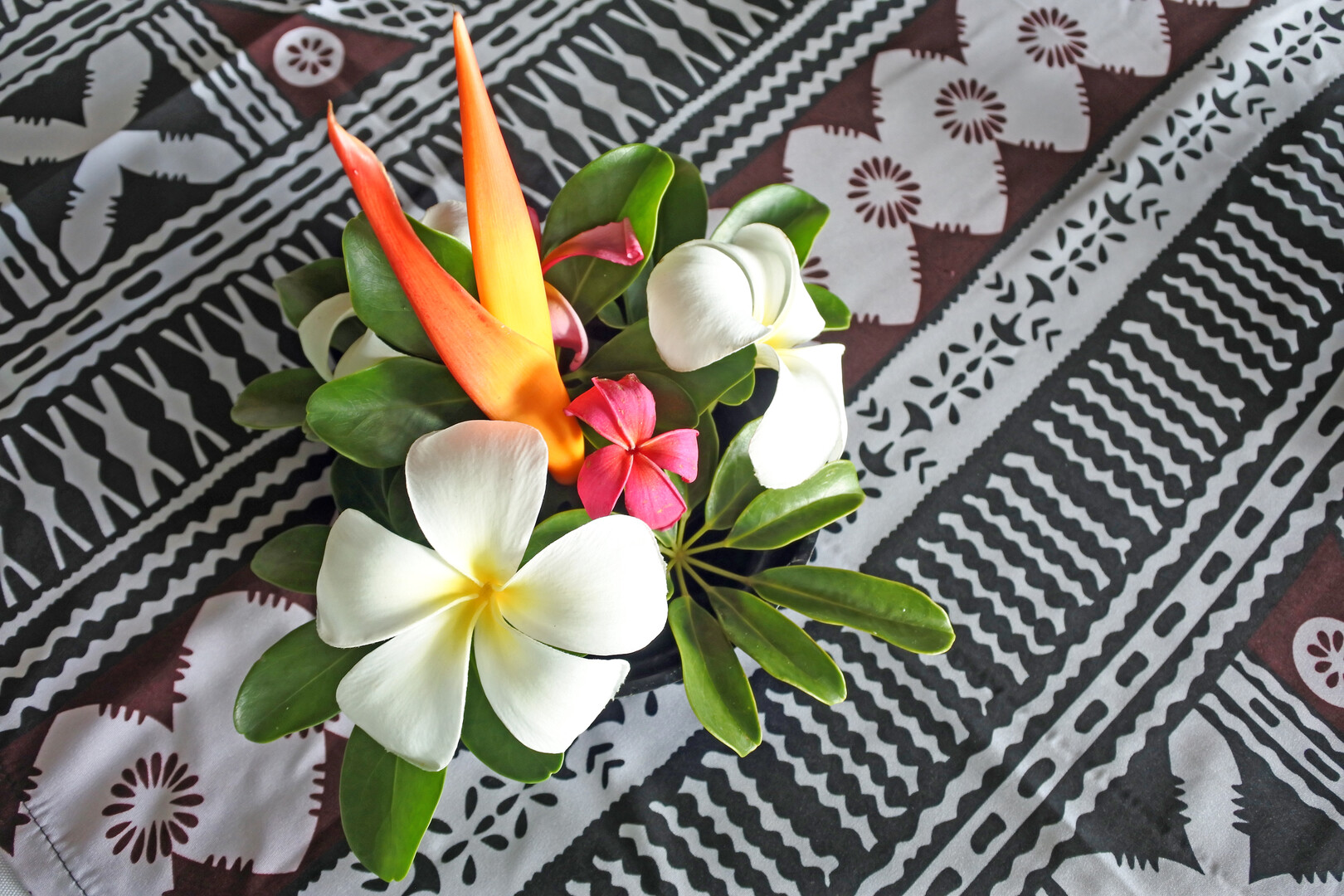 Our Capabilities: How we support Pacific Development