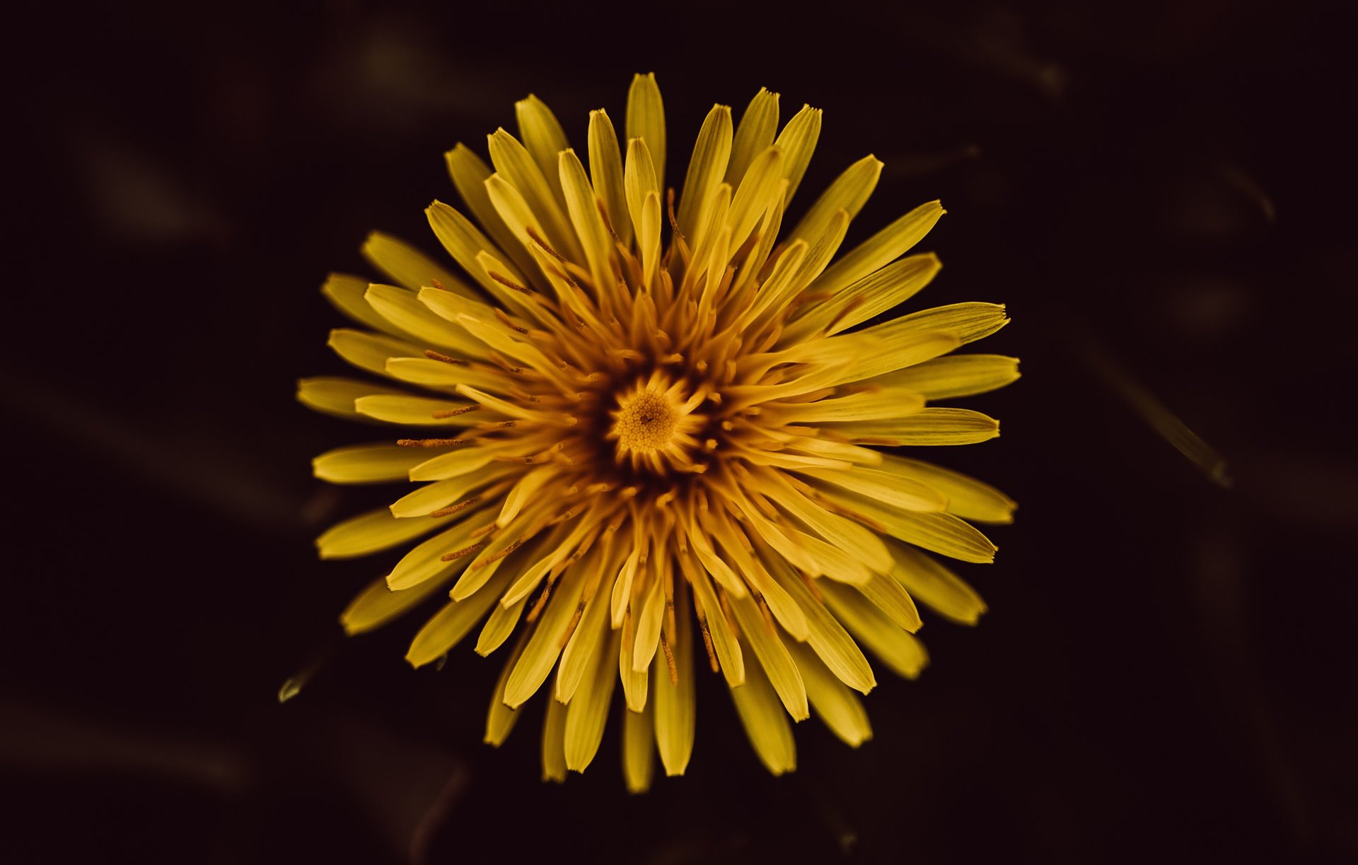 Circular by design – Framing it up