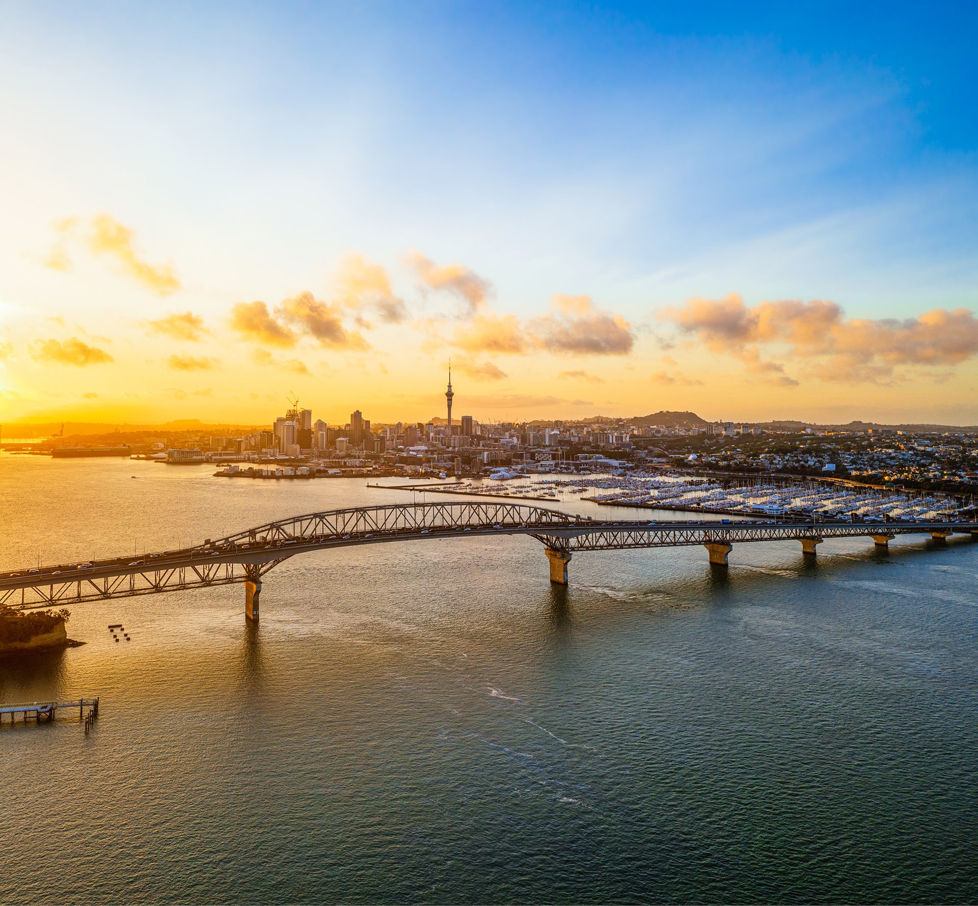 Auckland Council strengthens climate resilience through transition planning