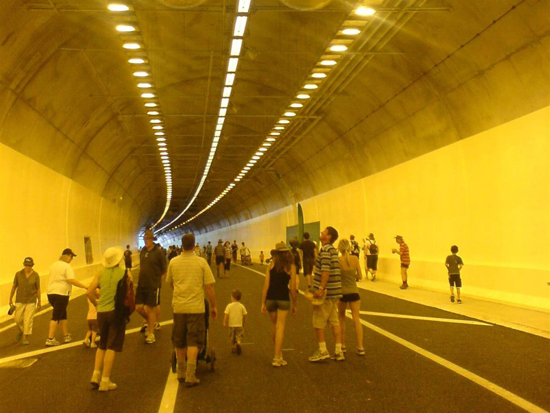 Analytics and Insight